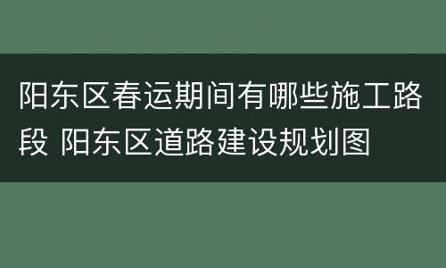 阳东区春运期间有哪些施工路段 阳东区道路建设规划图