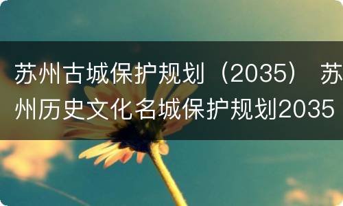 苏州古城保护规划（2035） 苏州历史文化名城保护规划2035