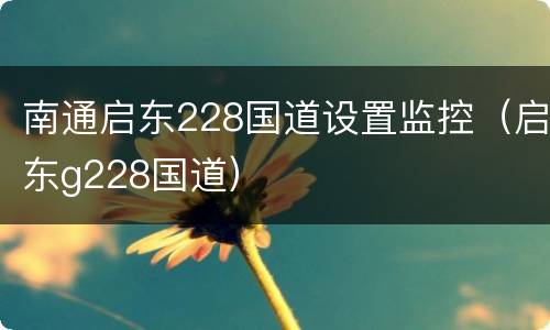 南通启东228国道设置监控（启东g228国道）