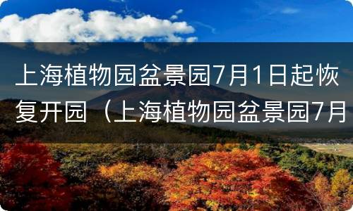 上海植物园盆景园7月1日起恢复开园（上海植物园盆景园7月1日起恢复开园吗）