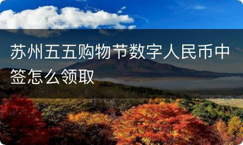 苏州五五购物节数字人民币中签怎么领取