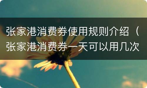 张家港消费券使用规则介绍（张家港消费券一天可以用几次）