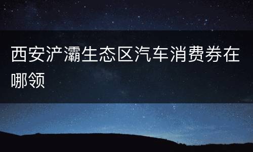 西安浐灞生态区汽车消费券在哪领