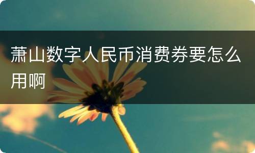 萧山数字人民币消费券要怎么用啊