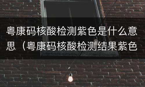 粤康码核酸检测紫色是什么意思（粤康码核酸检测结果紫色）