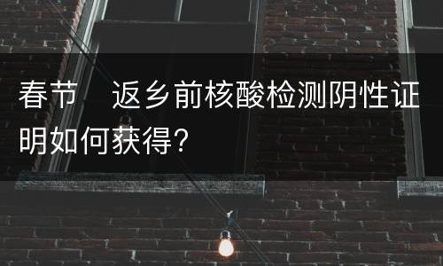 春节​返乡前核酸检测阴性证明如何获得?