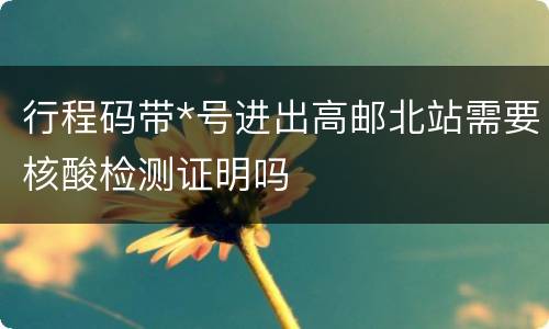 行程码带*号进出高邮北站需要核酸检测证明吗