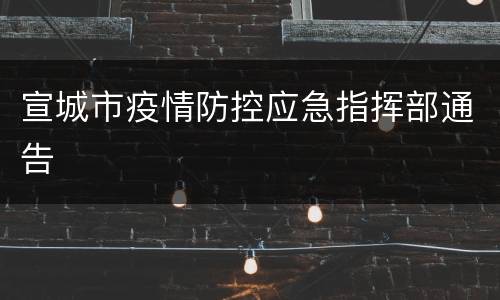 宣城市疫情防控应急指挥部通告