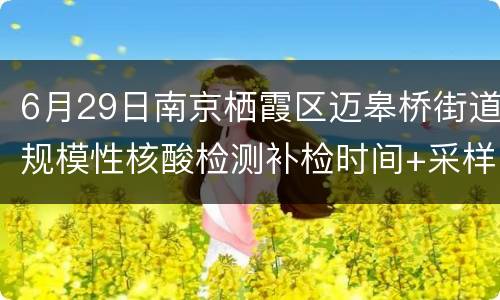 6月29日南京栖霞区迈皋桥街道规模性核酸检测补检时间+采样点