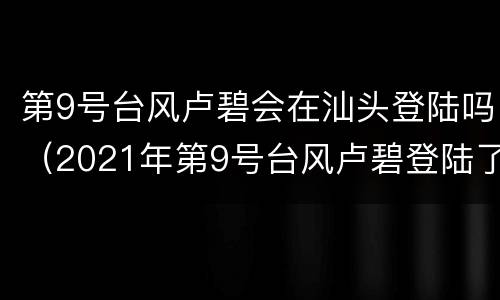 第9号台风卢碧会在汕头登陆吗（2021年第9号台风卢碧登陆了吗）