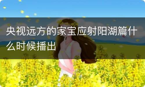 央视远方的家宝应射阳湖篇什么时候播出