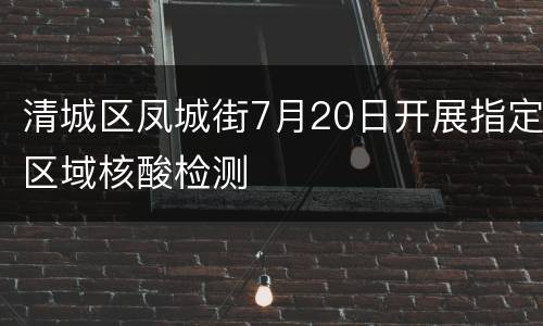 清城区凤城街7月20日开展指定区域核酸检测