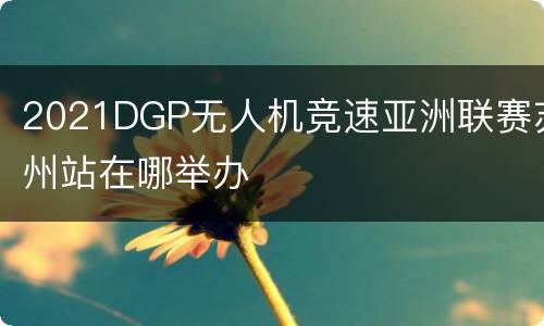 2021DGP无人机竞速亚洲联赛苏州站在哪举办