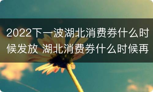 2022下一波湖北消费券什么时候发放 湖北消费券什么时候再发