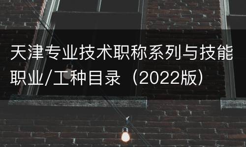 天津专业技术职称系列与技能职业/工种目录（2022版）