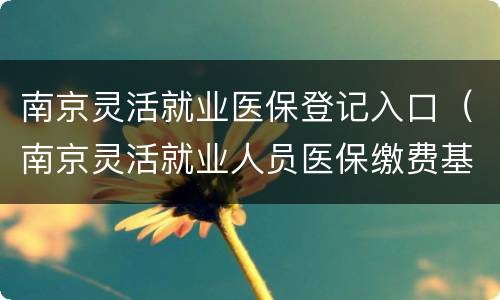南京灵活就业医保登记入口（南京灵活就业人员医保缴费基数）