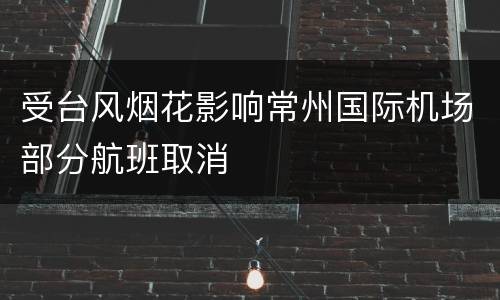 受台风烟花影响常州国际机场部分航班取消