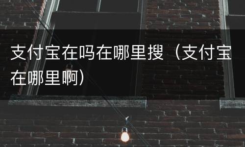 支付宝在吗在哪里搜（支付宝在哪里啊）