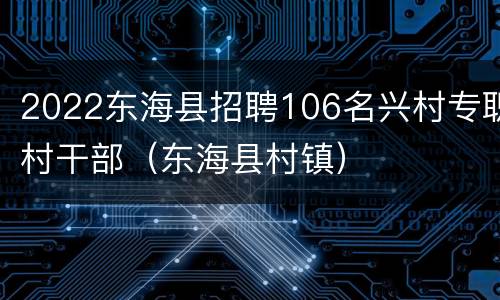 2022东海县招聘106名兴村专职村干部（东海县村镇）