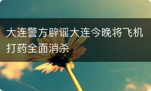 大连警方辟谣大连今晚将飞机打药全面消杀