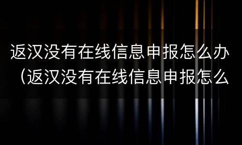 返汉没有在线信息申报怎么办（返汉没有在线信息申报怎么办）