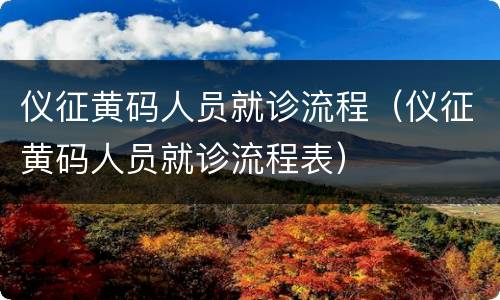 仪征黄码人员就诊流程（仪征黄码人员就诊流程表）