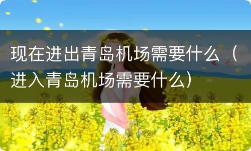 现在进出青岛机场需要什么（进入青岛机场需要什么）