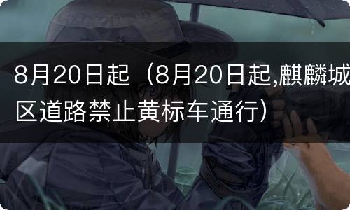 8月20日起（8月20日起,麒麟城区道路禁止黄标车通行）