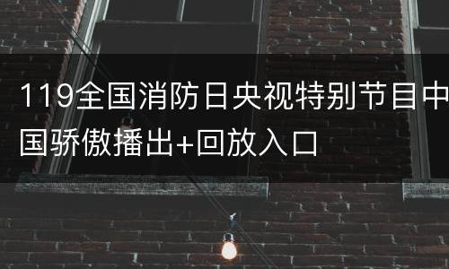 119全国消防日央视特别节目中国骄傲播出+回放入口