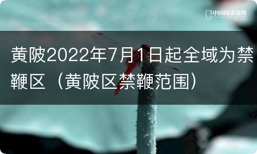 黄陂2022年7月1日起全域为禁鞭区（黄陂区禁鞭范围）