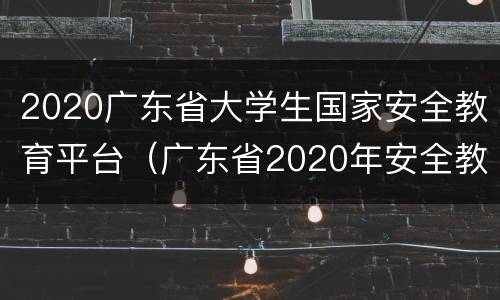 2020广东省大学生国家安全教育平台（广东省2020年安全教育平台）