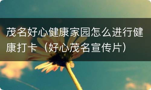 茂名好心健康家园怎么进行健康打卡（好心茂名宣传片）