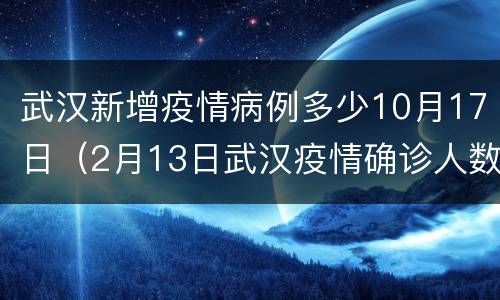 武汉新增疫情病例多少10月17日（2月13日武汉疫情确诊人数）