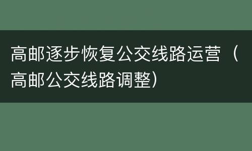 高邮逐步恢复公交线路运营（高邮公交线路调整）