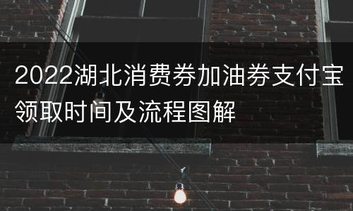 2022湖北消费券加油券支付宝领取时间及流程图解