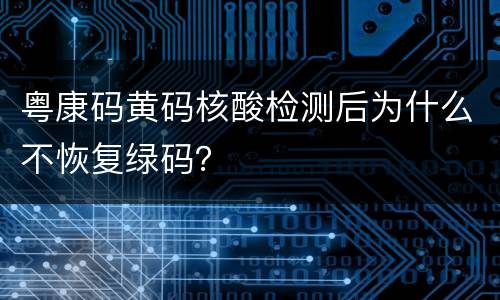 粤康码黄码核酸检测后为什么不恢复绿码？