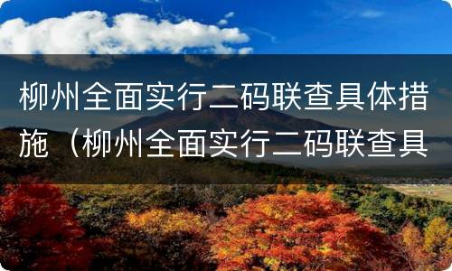柳州全面实行二码联查具体措施（柳州全面实行二码联查具体措施是什么）