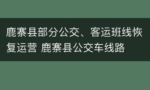 鹿寨县部分公交、客运班线恢复运营 鹿寨县公交车线路