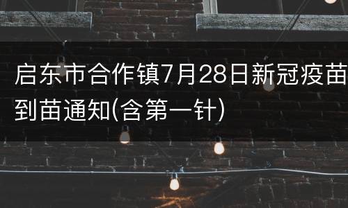 启东市合作镇7月28日新冠疫苗到苗通知(含第一针)
