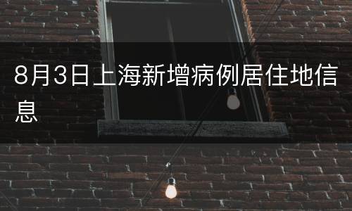 8月3日上海新增病例居住地信息