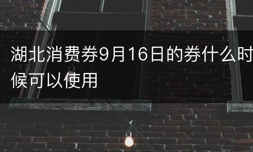 湖北消费券9月16日的券什么时候可以使用
