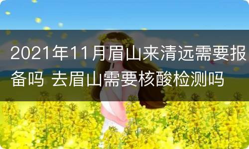 2021年11月眉山来清远需要报备吗 去眉山需要核酸检测吗