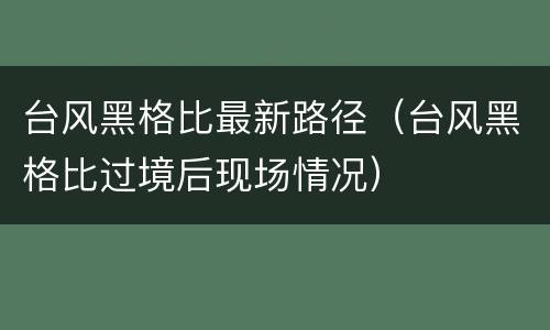 台风黑格比最新路径（台风黑格比过境后现场情况）
