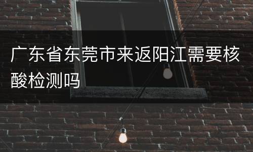 广东省东莞市来返阳江需要核酸检测吗