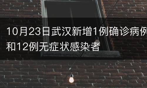 10月23日武汉新增1例确诊病例和12例无症状感染者