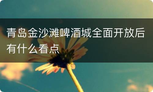 青岛金沙滩啤酒城全面开放后有什么看点