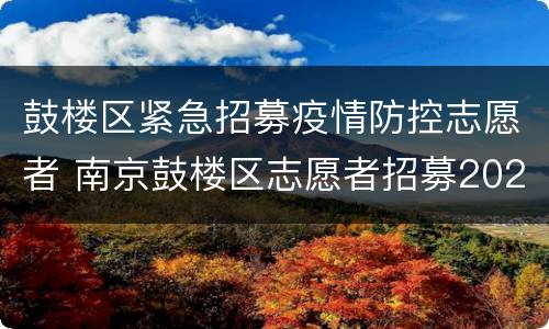 鼓楼区紧急招募疫情防控志愿者 南京鼓楼区志愿者招募2020