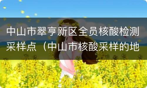 中山市翠亨新区全员核酸检测采样点（中山市核酸采样的地点）