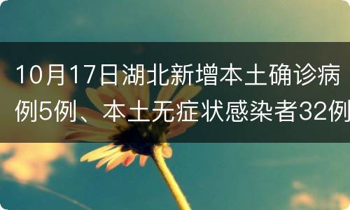 10月17日湖北新增本土确诊病例5例、本土无症状感染者32例