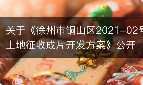 关于《徐州市铜山区2021-02号土地征收成片开发方案》公开征求意见的公告